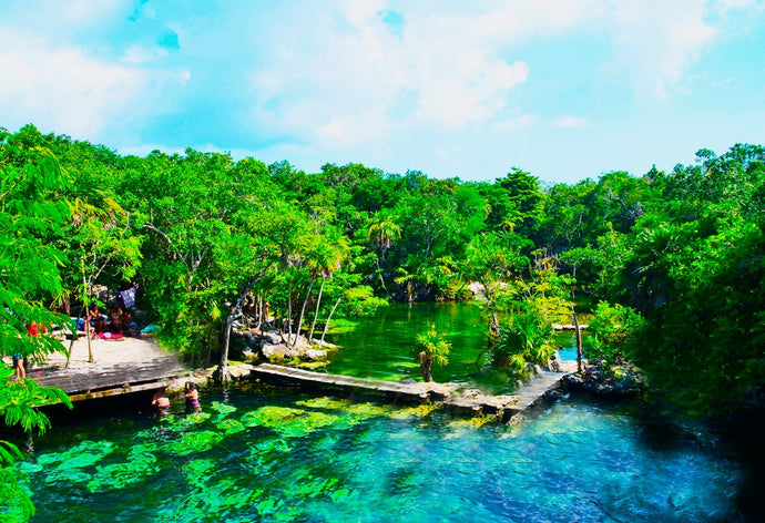 Tres joyas de agua dulce en la Riviera Maya